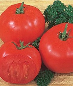 Super Beefsteak Beefsteak Tomato